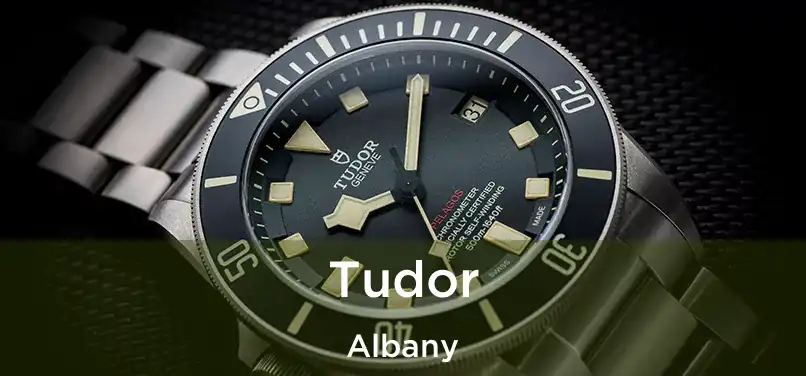 Tudor Albany