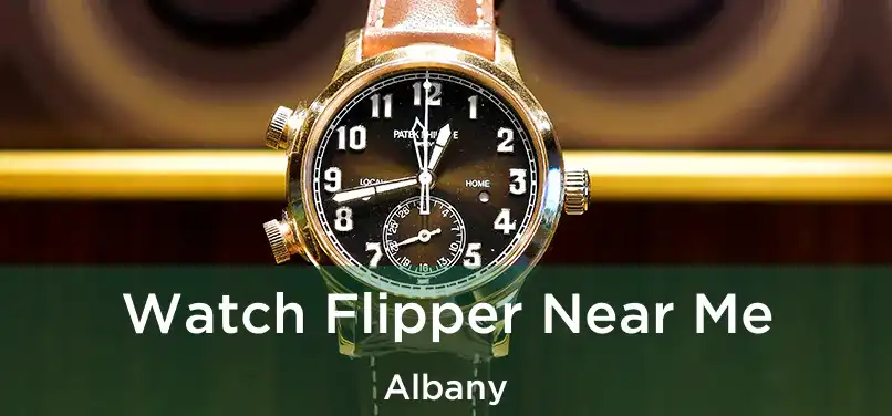 Watch Flipper Near Me Albany